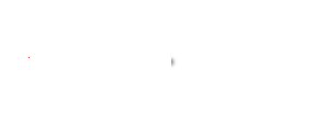 writer